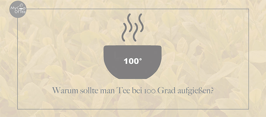 Warum sollte man Tee bei 100 Grad aufgießen?