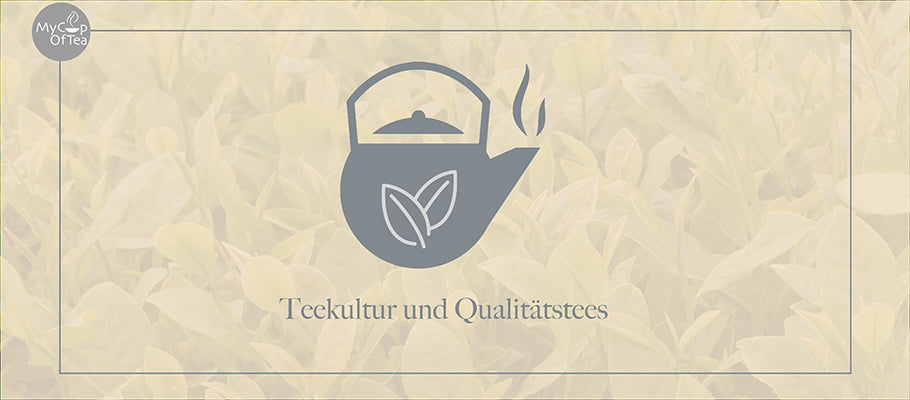 Teekultur und Qualitätstees