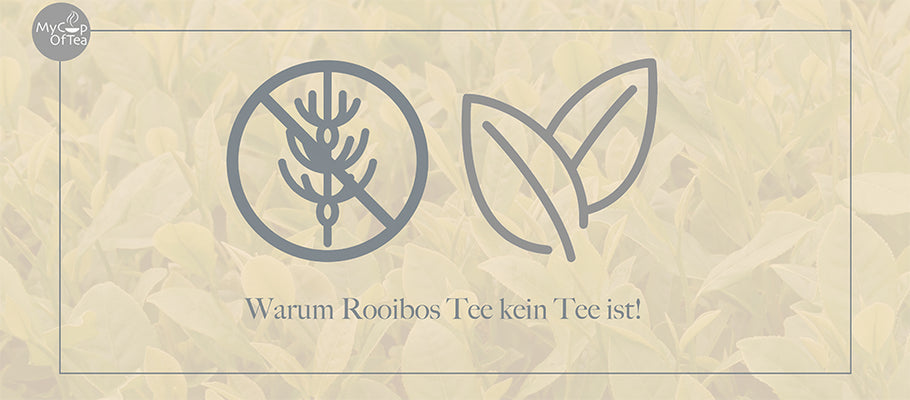 Warum Rooibos Tee kein Tee ist