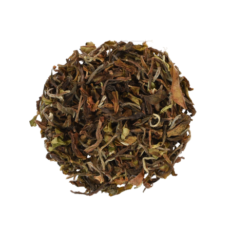 Summer Darjeeling Bio Tee